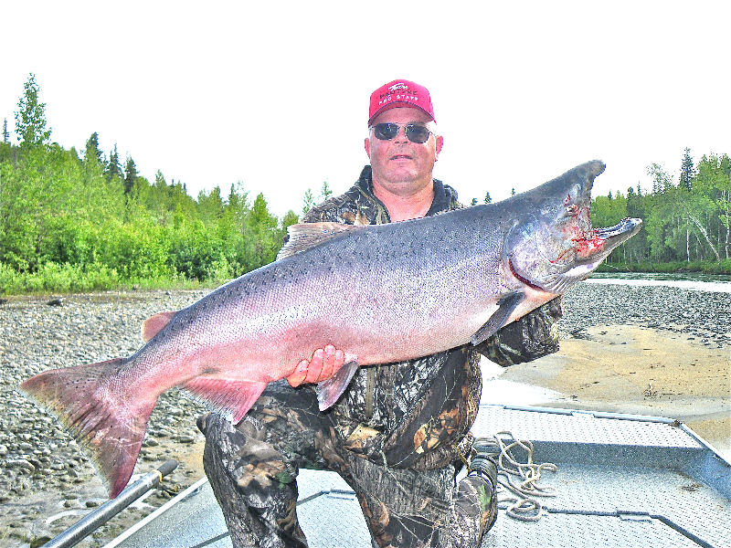 Alaska King Salmon Alaska Fishing Guide Fishtale River Guides